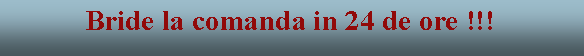 Text Box: Bride la comanda in 24 de ore !!!
